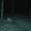 Thumbnail: Infa Red Camera Night 1
