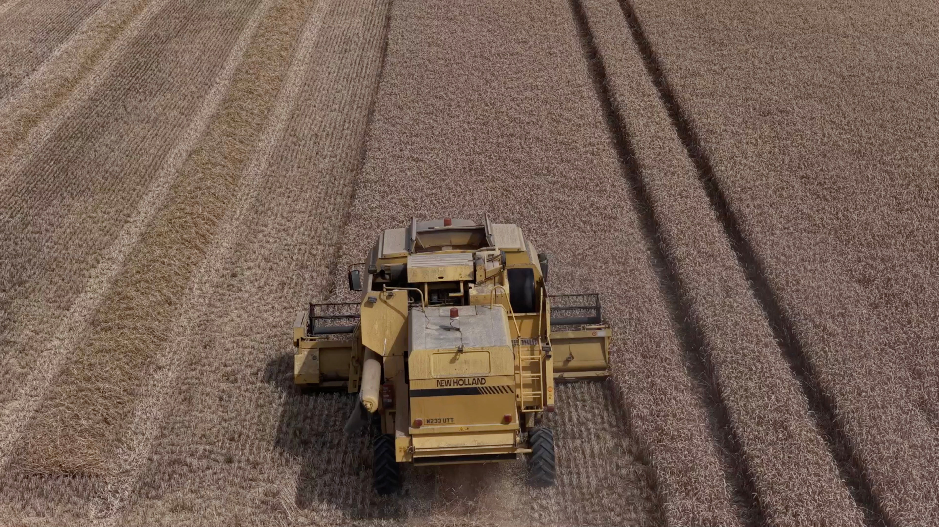 Agriculture - Combine - Wheat