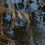Thumbnail: Dried Grass and Stream