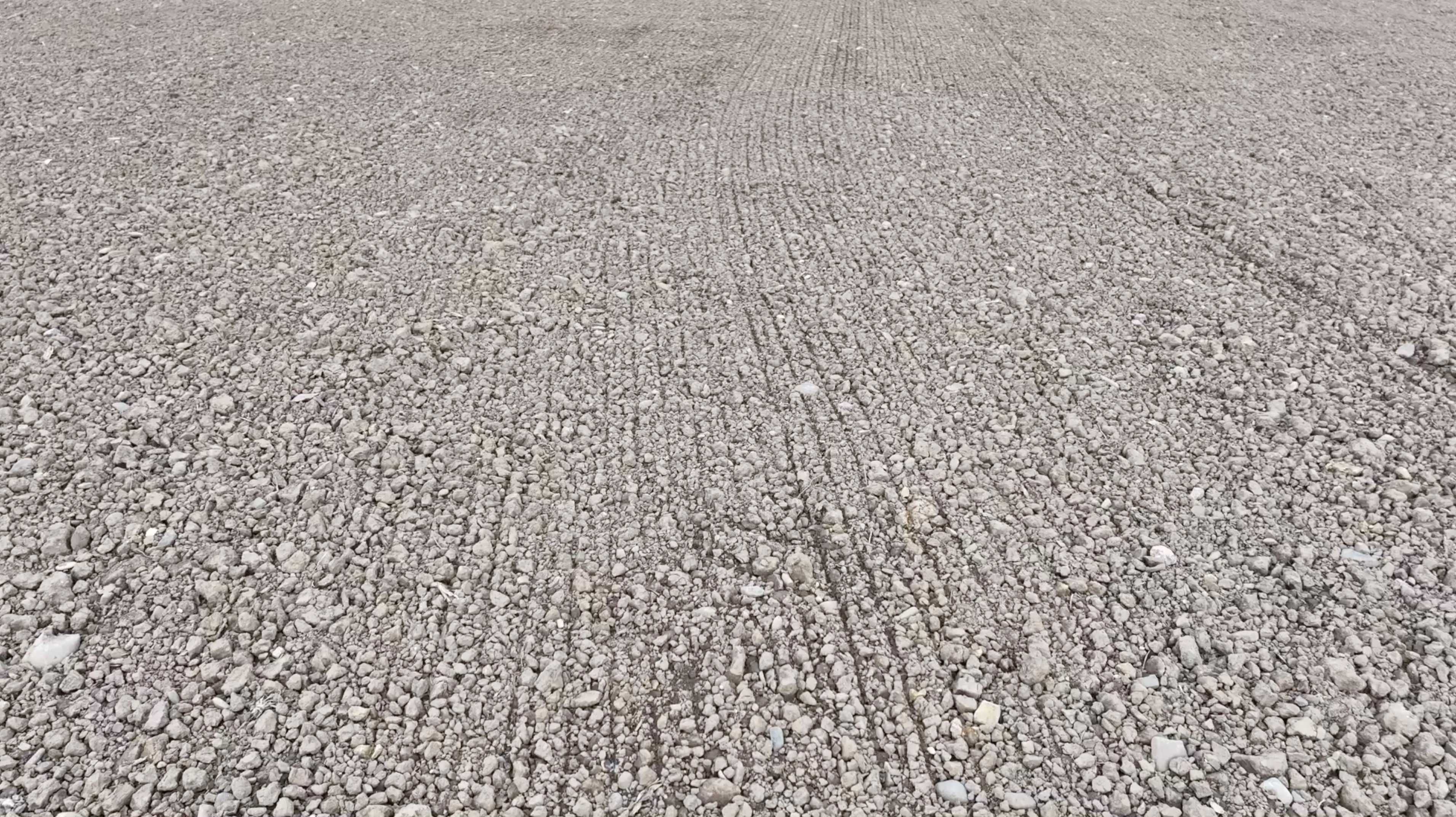 Aerial - Drone - Low Flight over Sown  Field