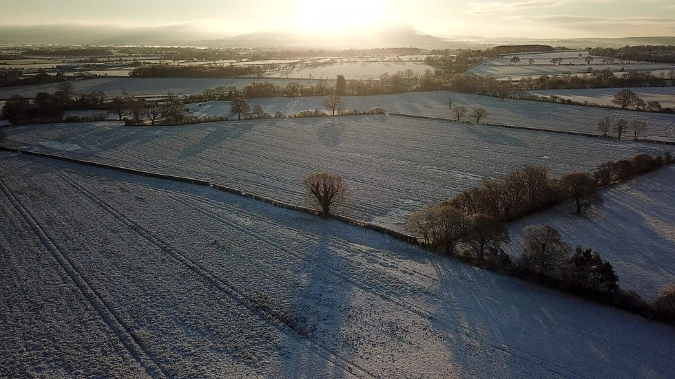 Thumbnail: Drone Snow Small Wooded Area 3