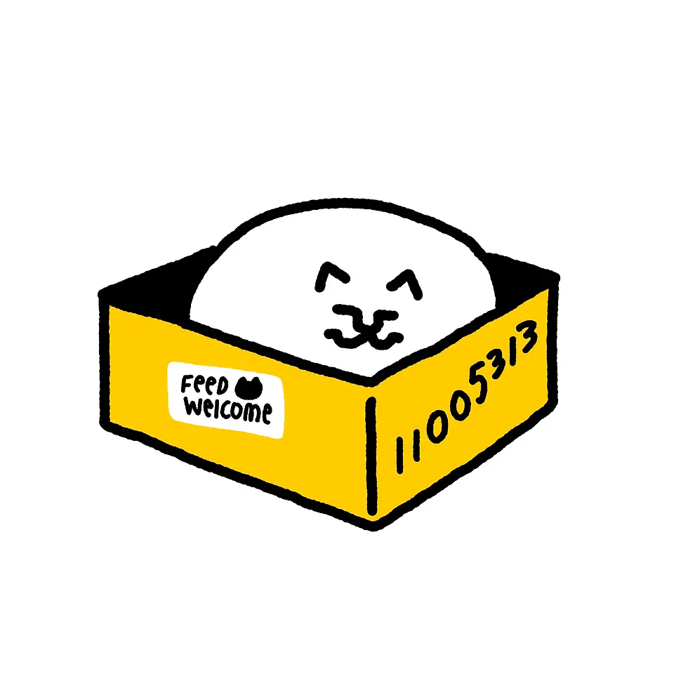 a cat sleeping in the box