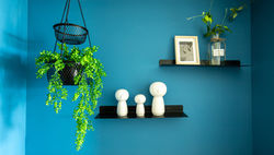 סטיילינג למשרדים ברעננה