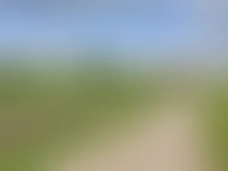 Hvorfor tjener fastlegene mye mer enn bøndene ?