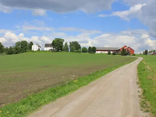 Hvorfor tjener fastlegene mye mer enn bøndene ?