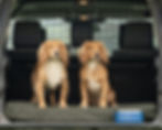 Sporting Saint The Winslow Dog Bed Waterproof Canvas Supportive