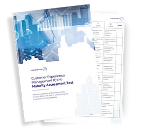 CXM Assessment Test PDF