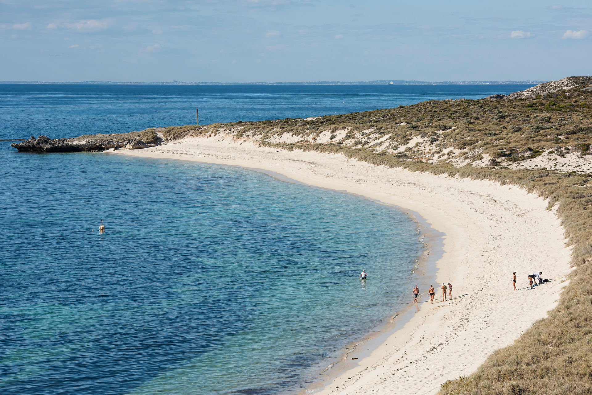 Swimwild Rottnest