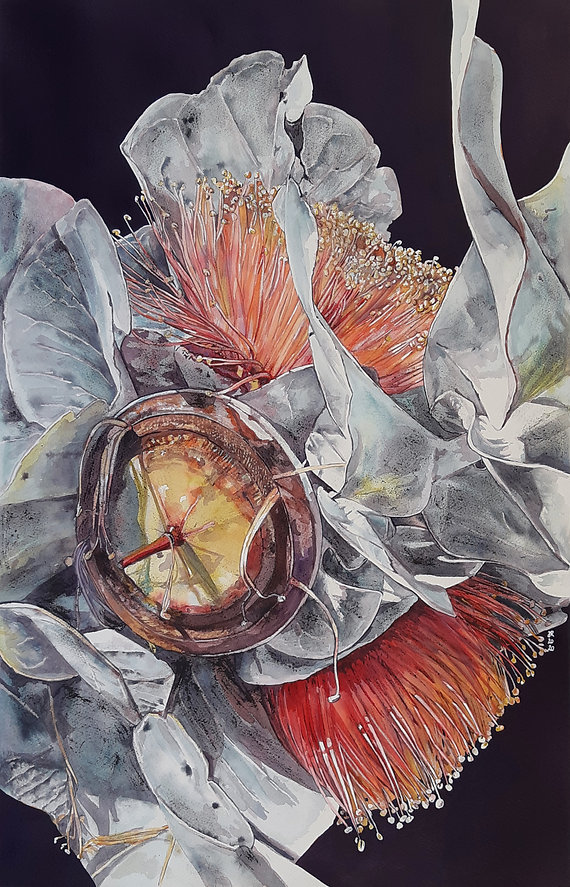 Cover image Judy Rogers 'Art Forms in Na