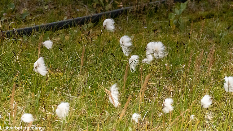 P1060626-27.jpg