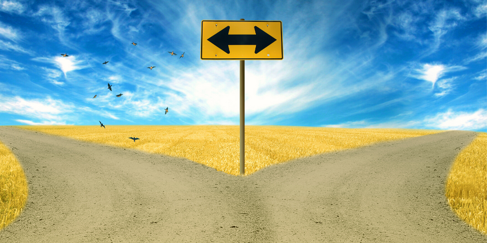 Two Roads Diverge Traditional vs Independent Publishing