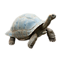 Untitled design (19).png
