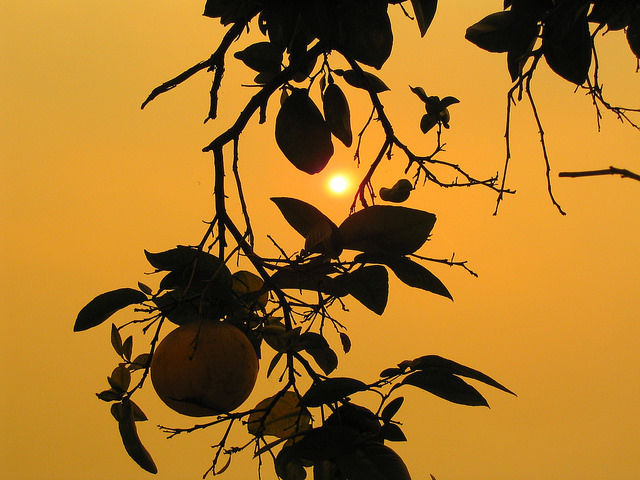 Sunset28_©HRIS_ HAZEL
