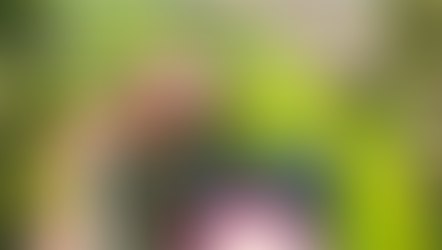 Andrea's Creative Studio 5th Anniversary Commemorative Book