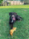Cleo_edited.jpg