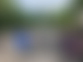 Trail Flowing im Bikepark Leogang