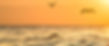dreamstime_xxl_78705176.jpg