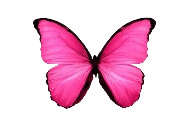 papillon_edited.png