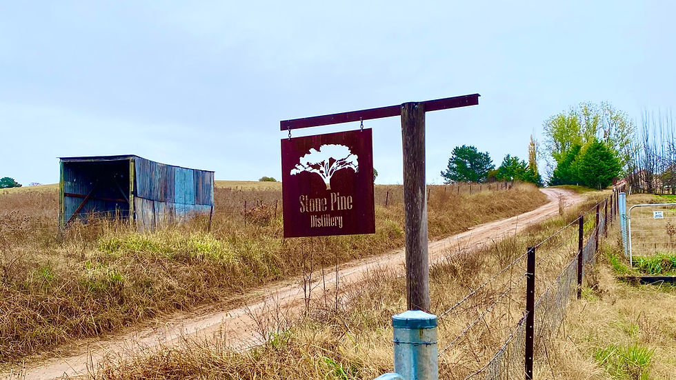 A Dead Man's Drop - A Story of Spiced Rum In Australia