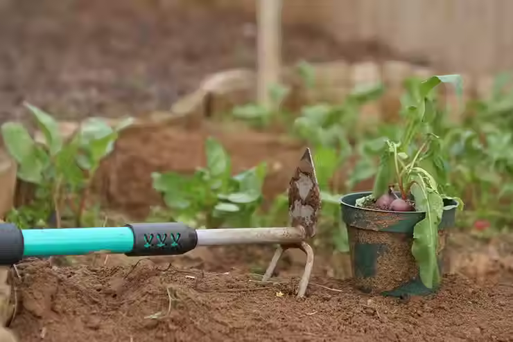 Gardening