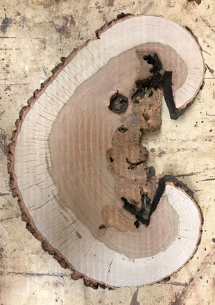 Slab Table