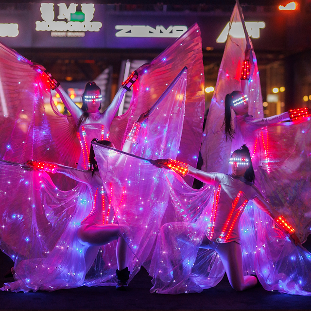 led wings show