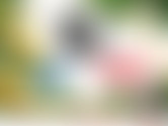 Happy start to the New Year.