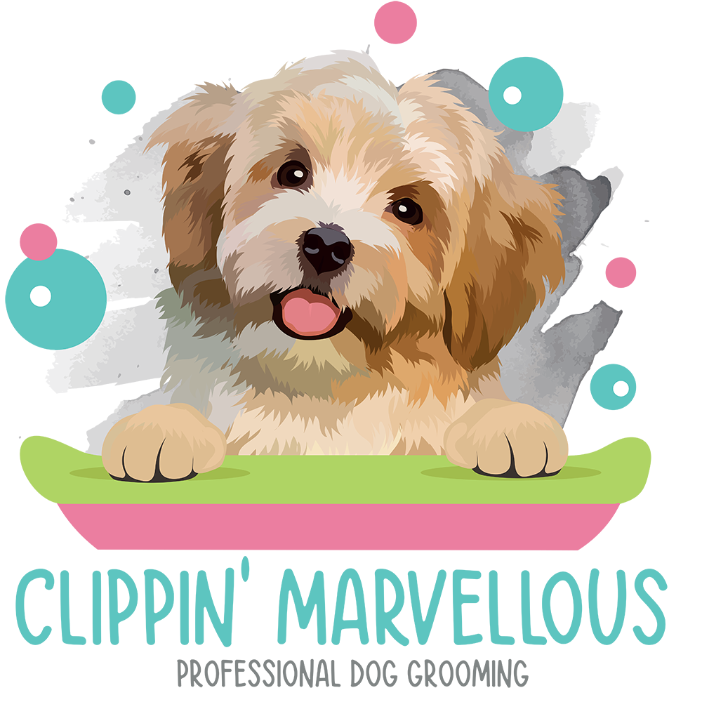 Dog Groomers Basingstoke Clippin' Marvellous Cliddesden