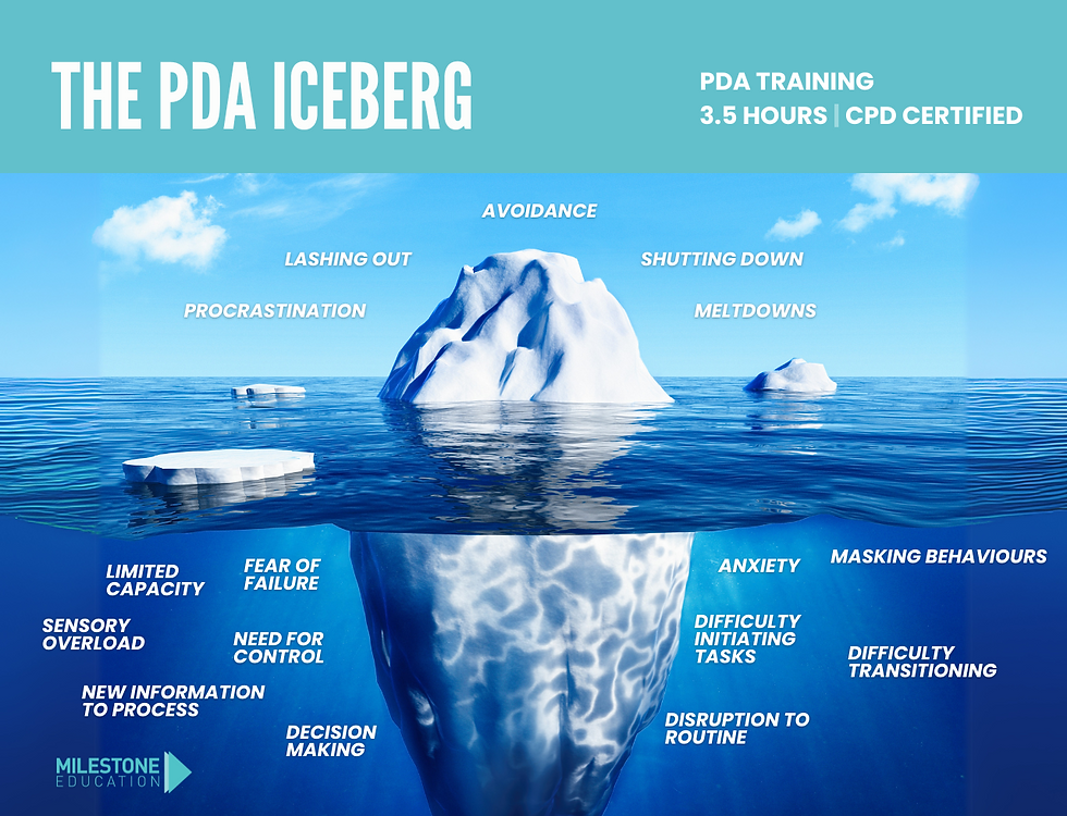 Wide angle view of a serene and inviting classroom environment