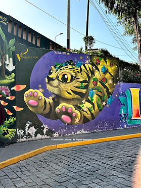 colorful flying graffiti cat in barranco neighborhood in peru