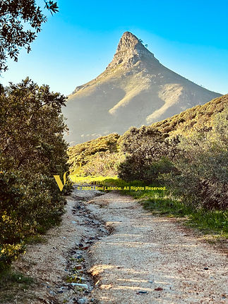 Front view of lions head peak from path in cape town