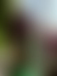 Woman in a green Zara dress sits on the floor by a sunlit window, surrounded by plants, reflecting on life transition at 40.