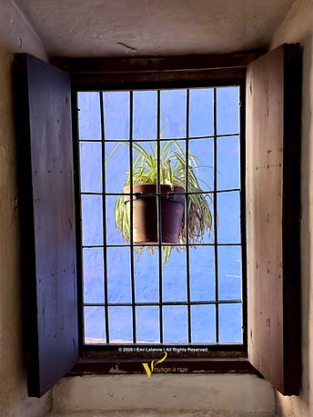 Window view of plant in Santa Catalina Monastery in Arequipa Peru