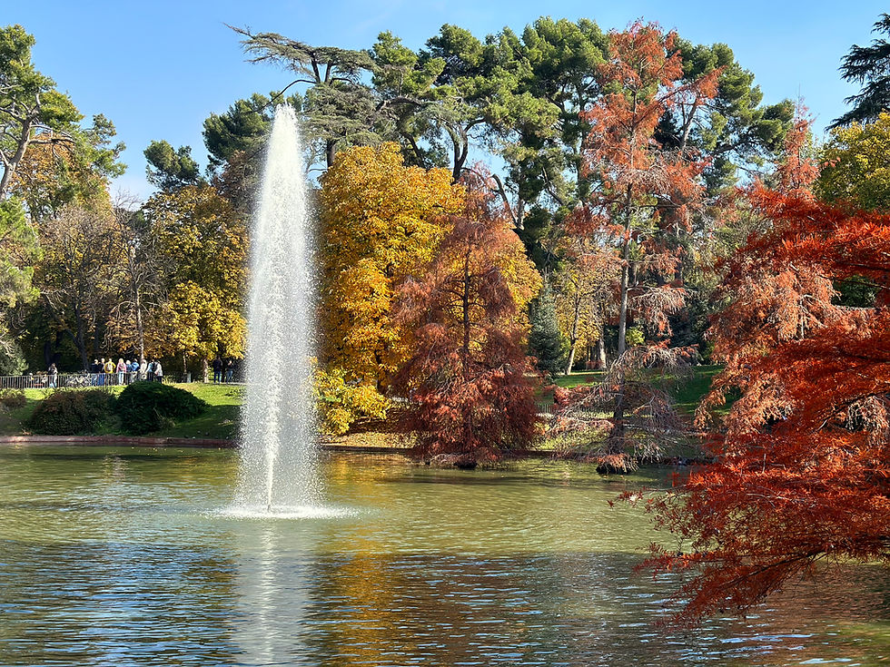 Park of Palace of Cristal