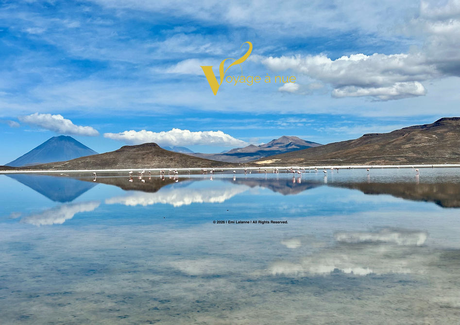 Landscape photo of the salt flats in Arequipa, Peru, with flamingos in the water for travel inspiration.