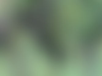 OWK Östringen Pfalzfahrt 05.Oktober 2025