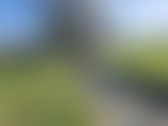 Wandern im Odenwald...