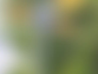 Rückblick zur Veranstaltung der Stadt Östringen am 19.4.2026