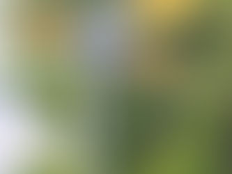 Rückblick zur Veranstaltung der Stadt Östringen am 19.4.2026