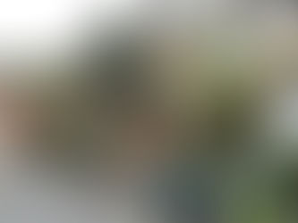 Rückblick auf unsere Gemarkungswanderung vom 12.04.2026 von Östringen nach Mühlhausen