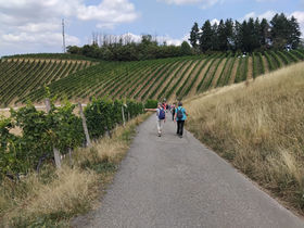 Wanderung am Sonntag, 23.08.2026 rund um Malsch, Rauenberg und Rotenberg