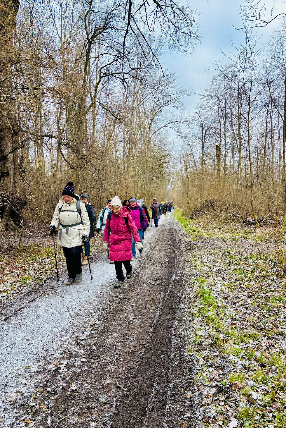 Gelungener Wanderauftakt für das Jahr 2026