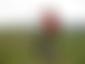 Auftaktwanderung am Sonntag 11.01.2026