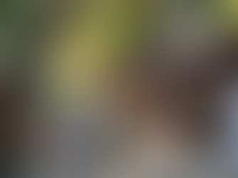 「武田八幡宮」境内紹介動画