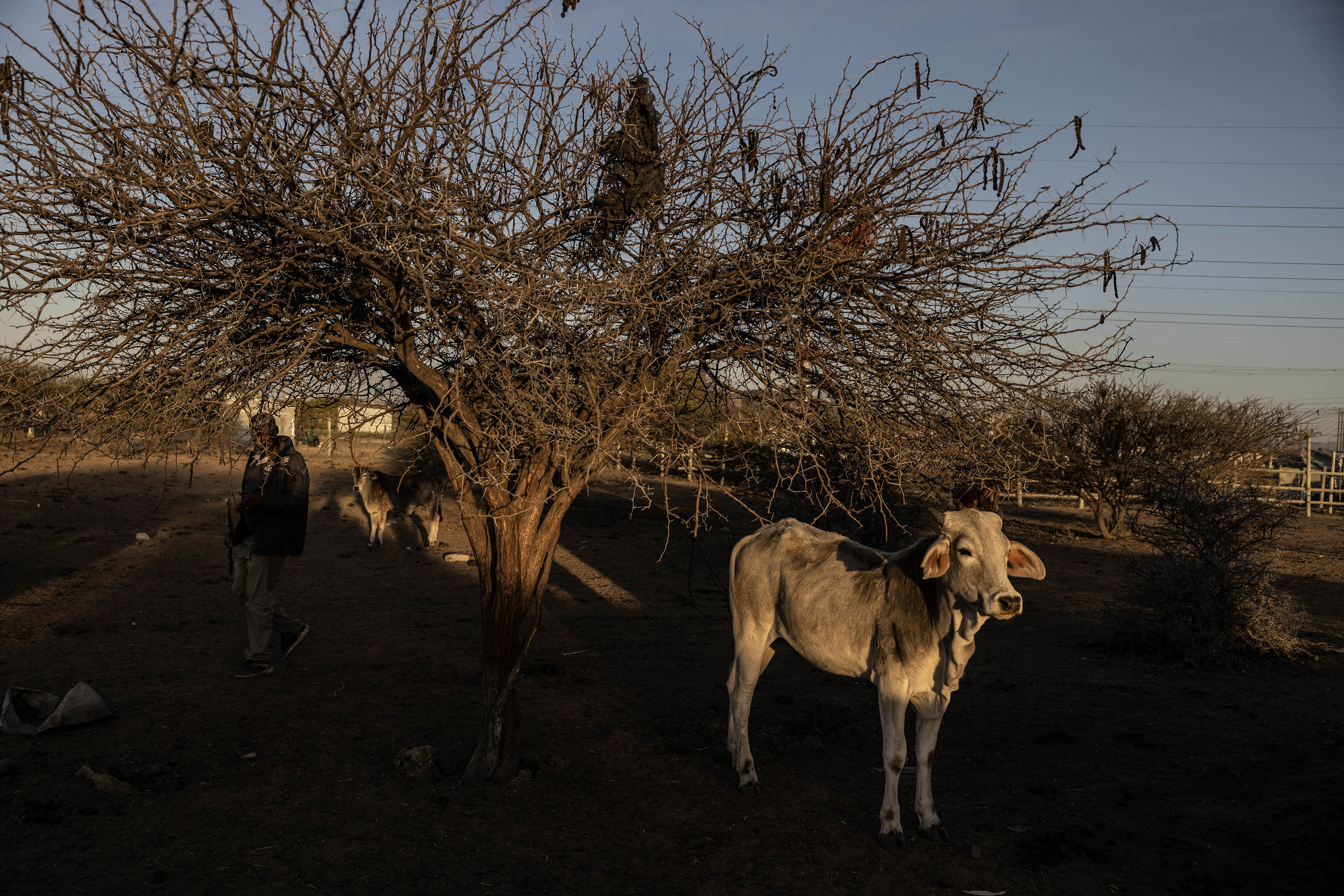 11EDIT_IMG_0138 copy 3.jpg