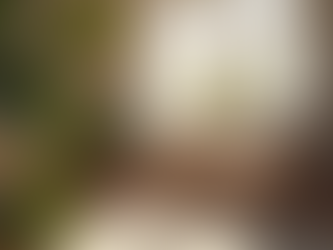 Therapeutic Benefits with Pathstones Counseling