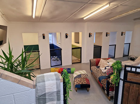 dog boarding, dog hotel