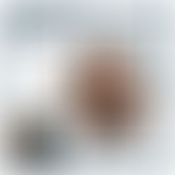 Ep. 535 Masterclass: Inflammation, Hormones & Weight Loss