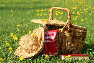 PicNic in the Alpilles