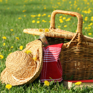 PicNic, Domaine la Pierre Blanche